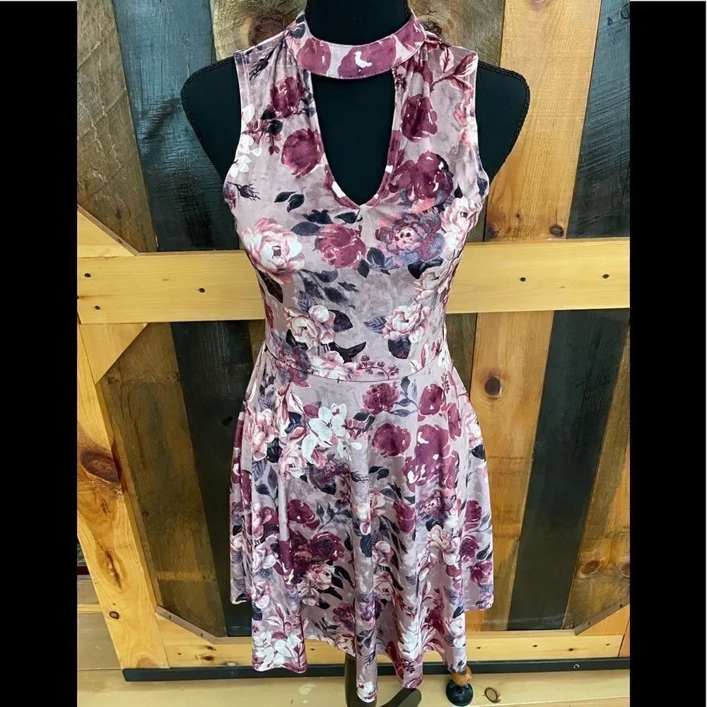 Francesca's Mi Ami Sleeveless Velvet Dress Size XS